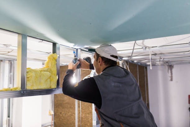 Best Commercial Insulation in Wilton, CA