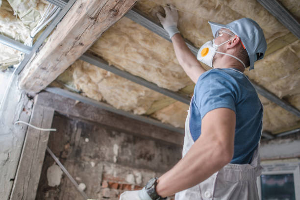 Types of Insulation We Offer in Wilton, CA