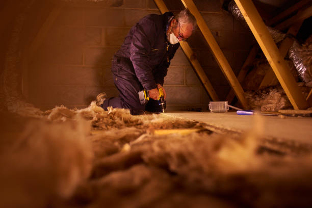 Best DIY Insulation Kits and Guidance in Wilton, CA