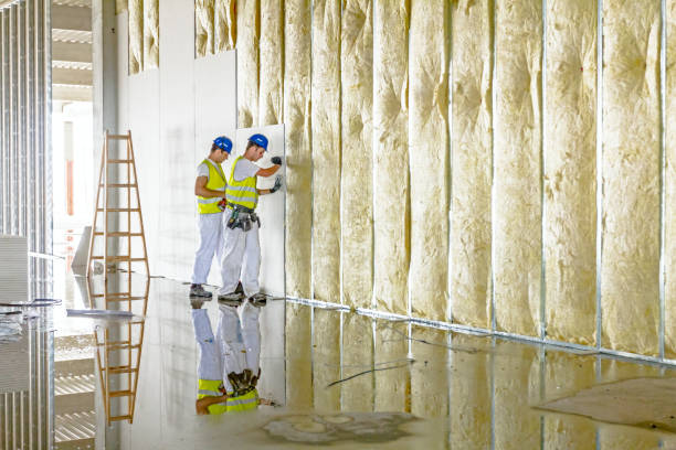 Best Energy Efficiency Insulation in Wilton, CA